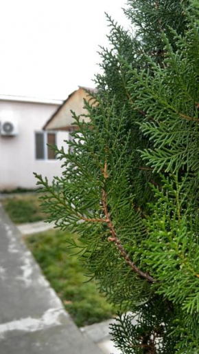 Evn Hotel Zvartnots